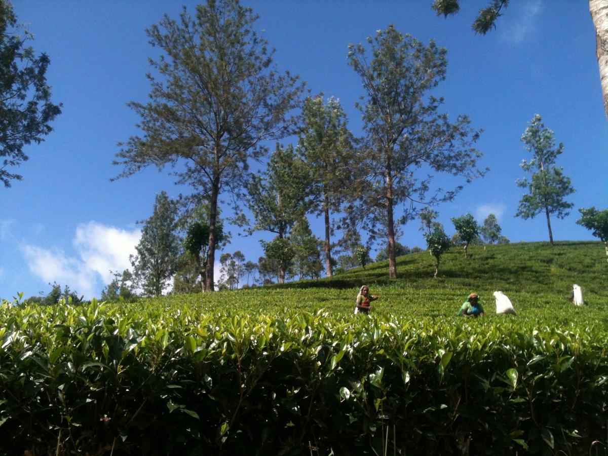 Subash Hotel نالاثانيا المظهر الخارجي الصورة